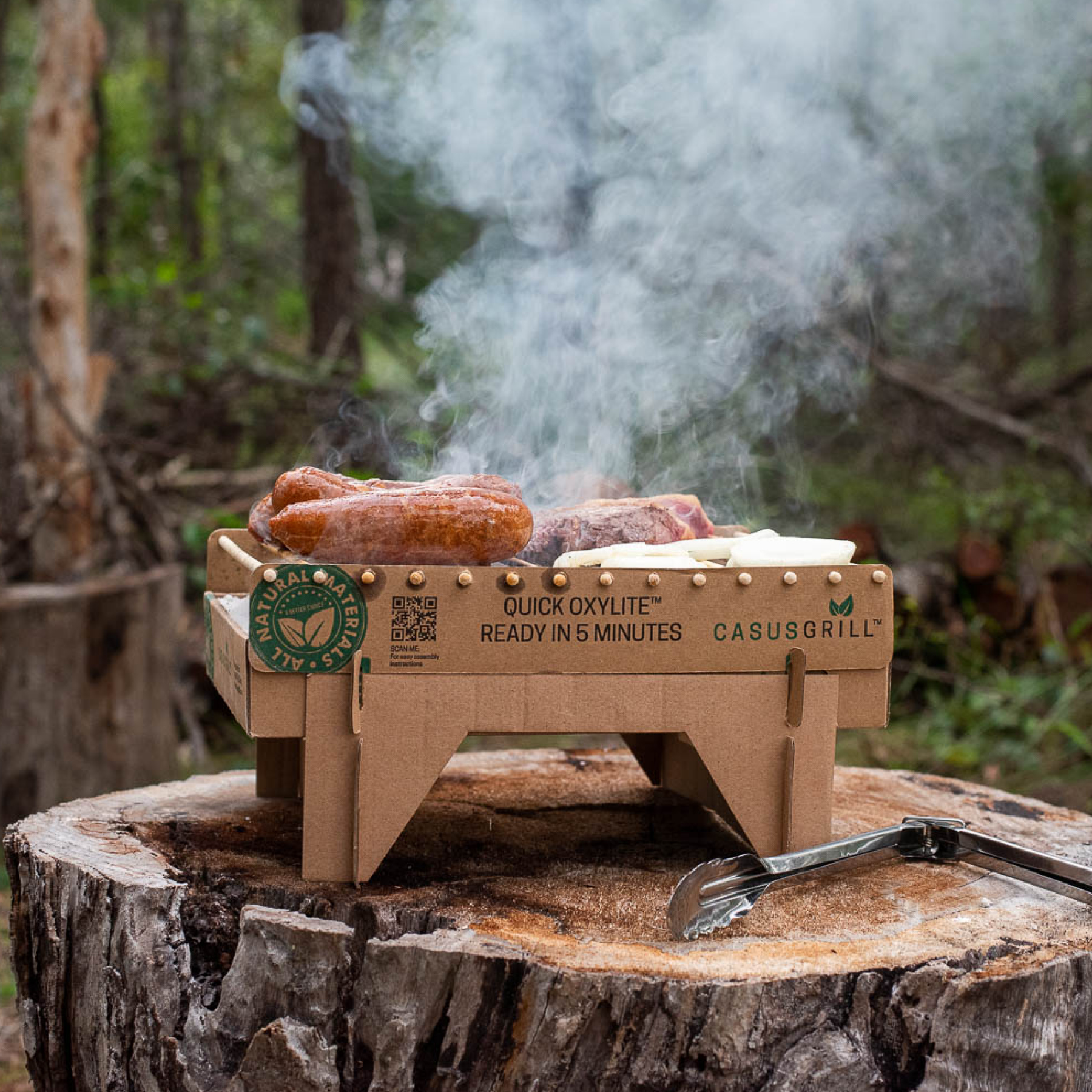Disposable Grill